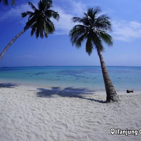 Loyal Friend Hostel Îles Karimunjawa Extérieur photo