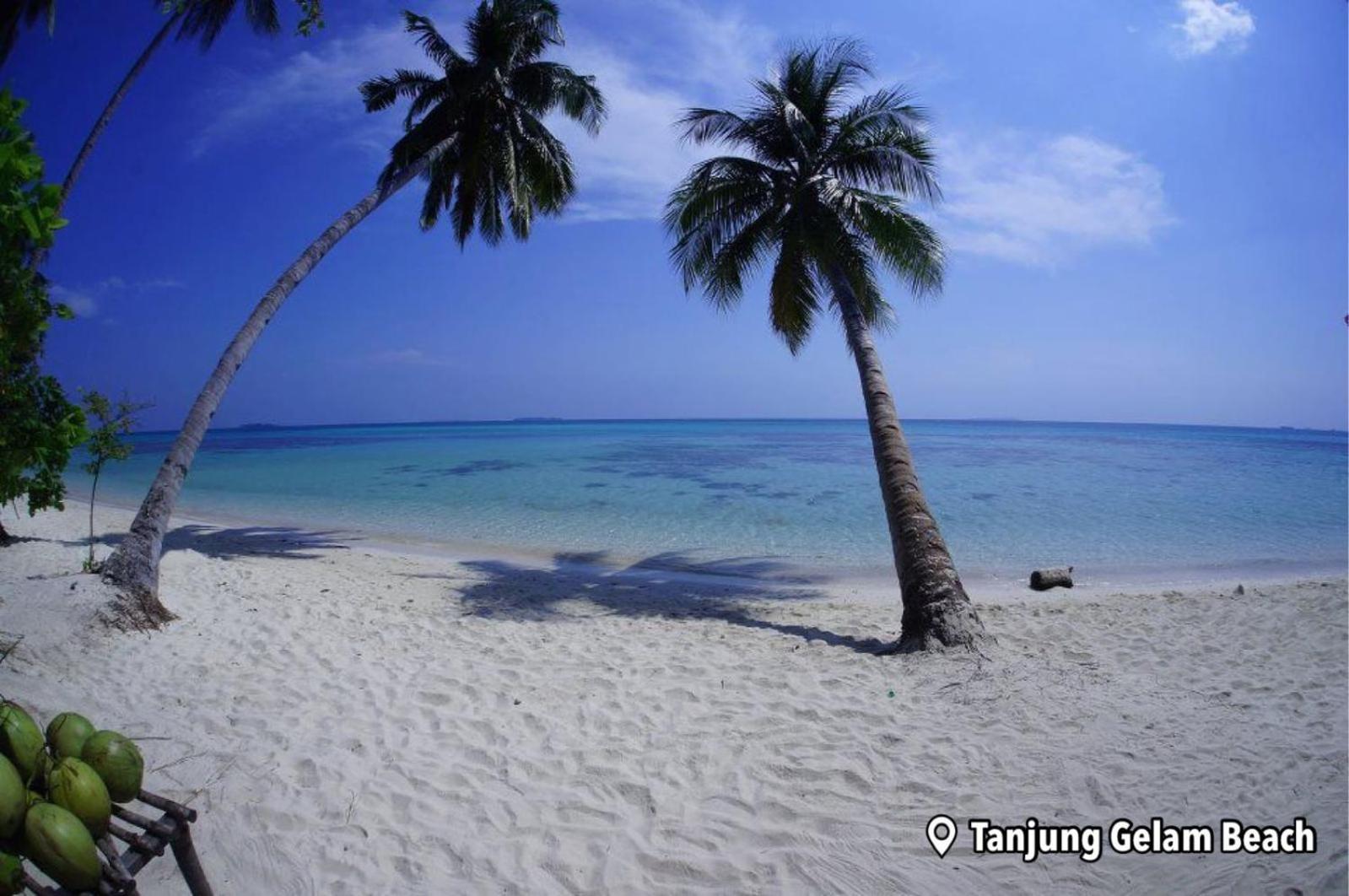 Loyal Friend Hostel Îles Karimunjawa Extérieur photo
